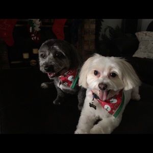 Meet your Posher, Angela